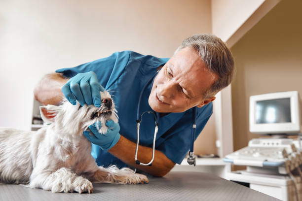 Best Walk-In Emergency Dentist in Andusia, AL