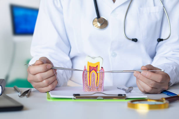 Best Emergency Broken Tooth Repair in Andusia, AL
